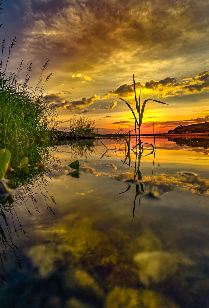 Photograph by Александр Разумов