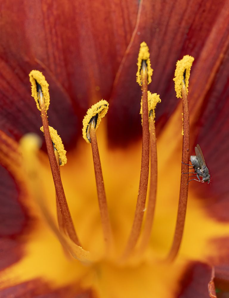 Photograph by Юрий Чернов