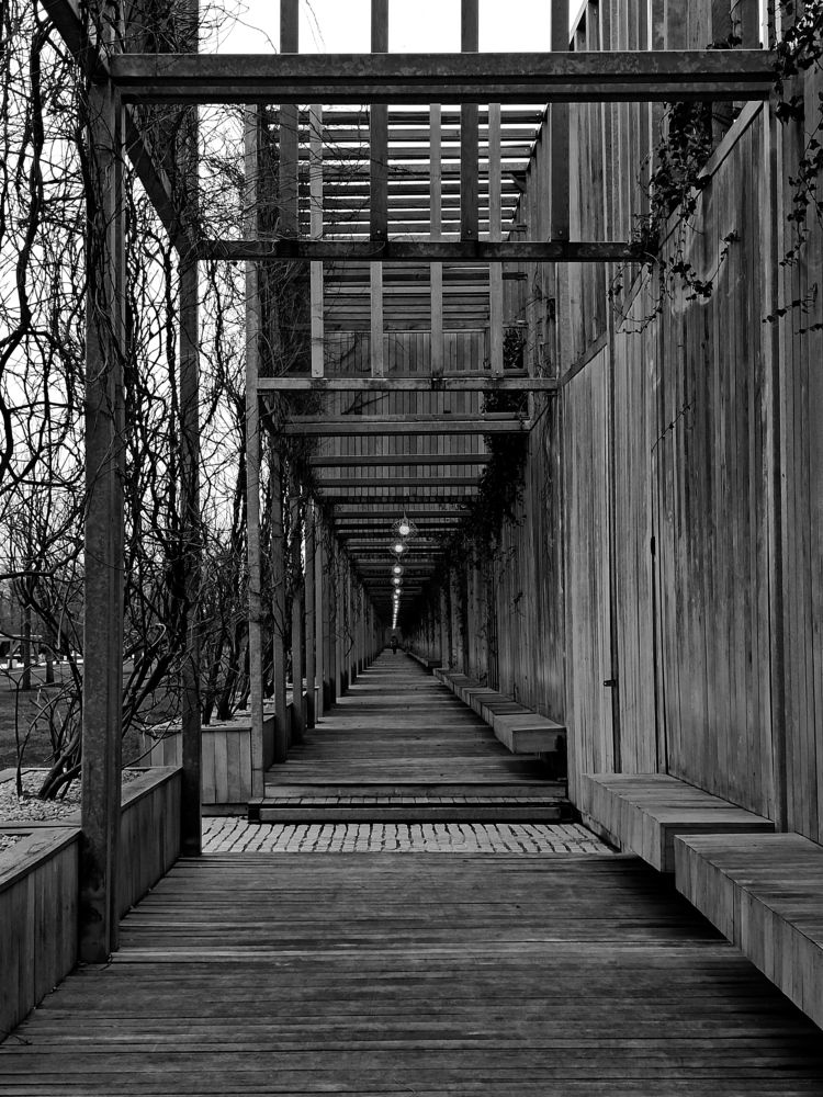 Фотография автора Таня Долгушева