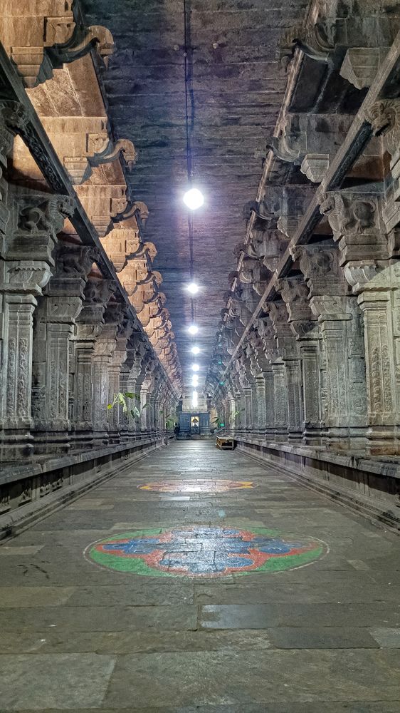 Photograph by Vinoth