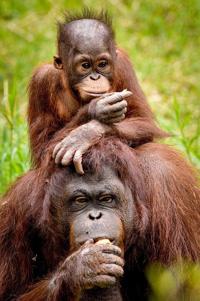 Photograph by Yafet Prayogo