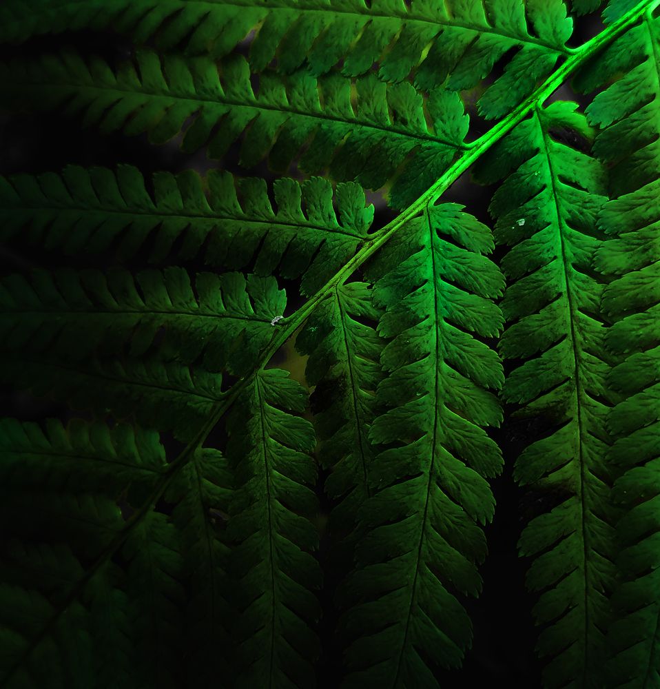 Photograph by Анастасия