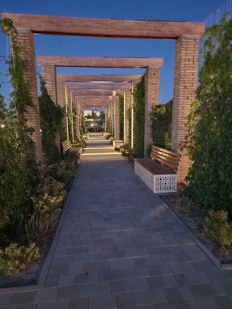 Фотография автора Alexey Morozov