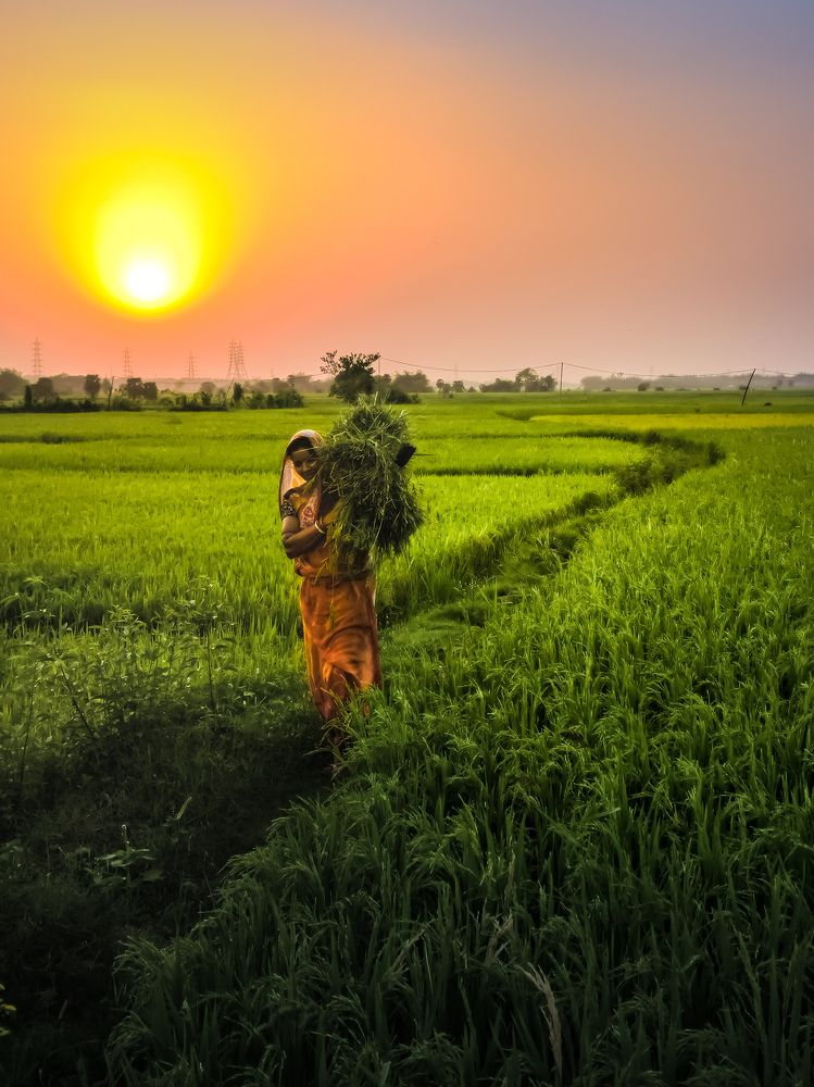 Фотография автора Ramprasad Das