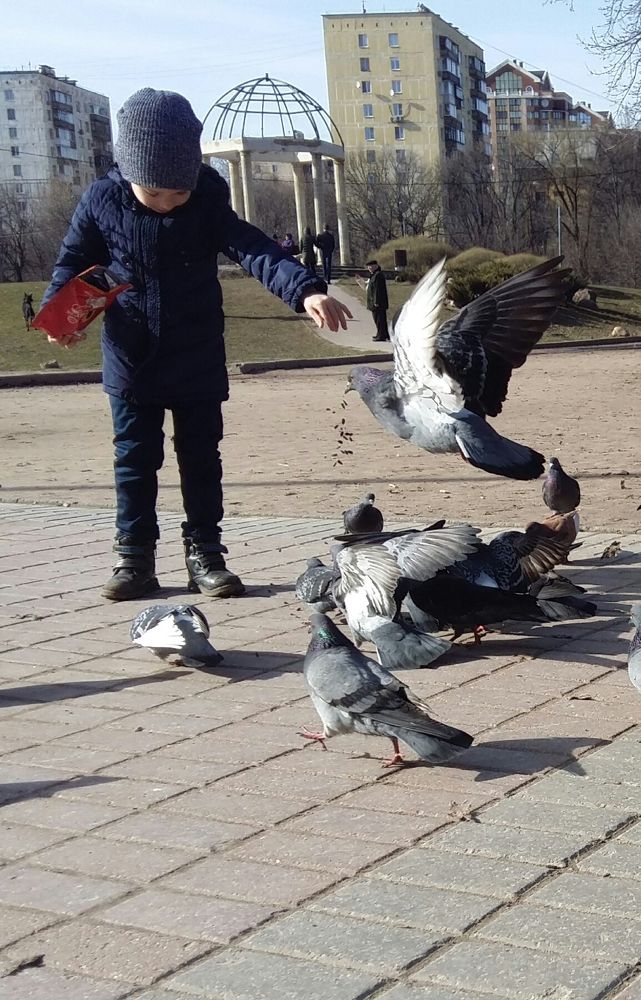 Фотография автора Сергей Можаев