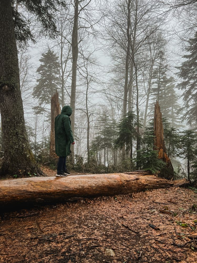 Photograph by Анастасия Юсова