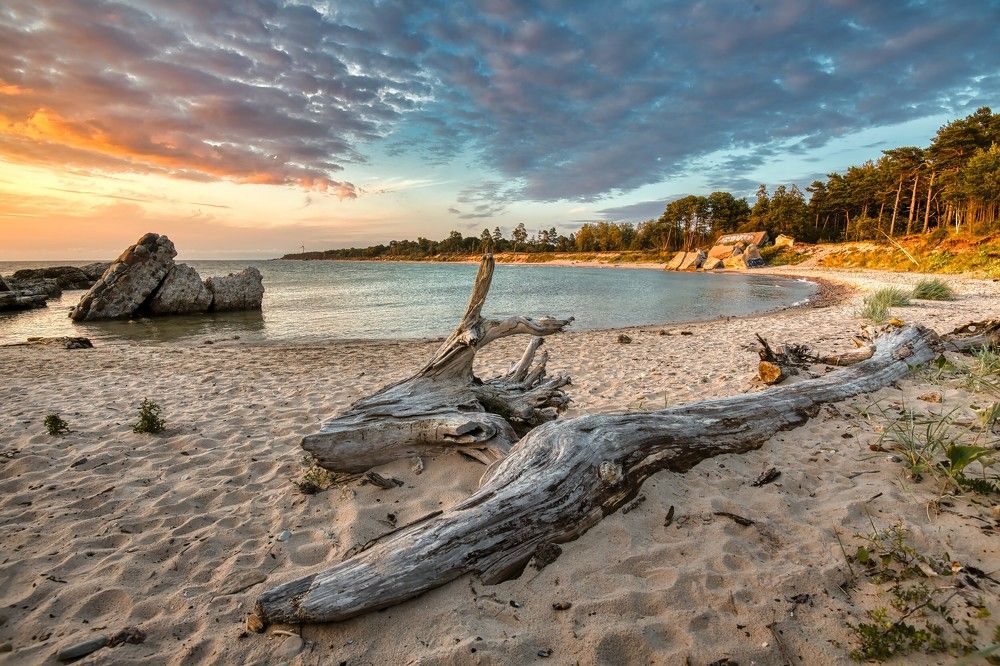 Photograph by Janis Serdienis