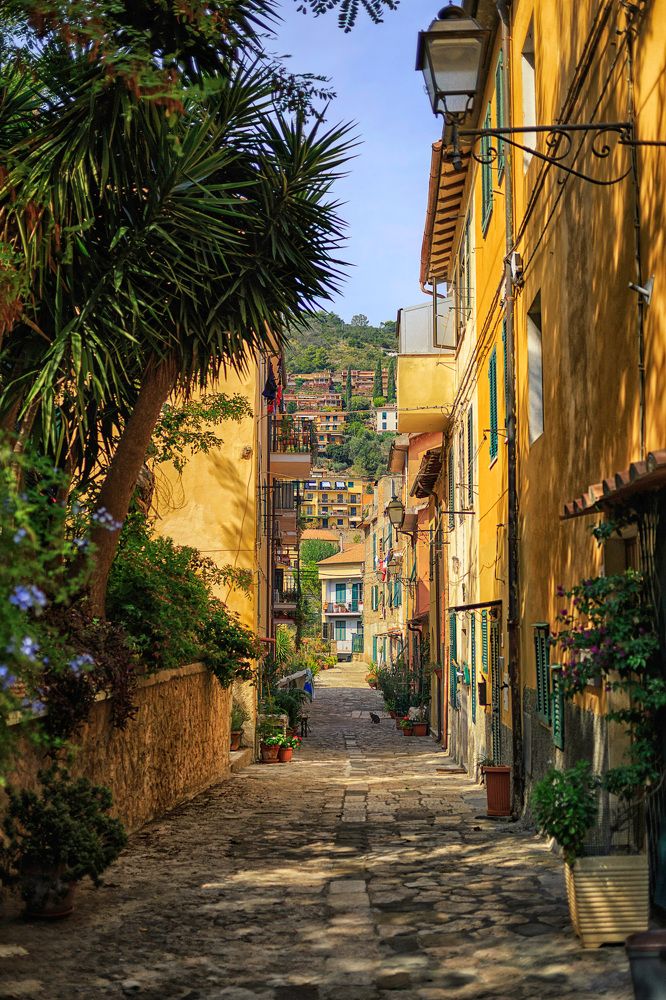 Photograph by Елена Евдокимова