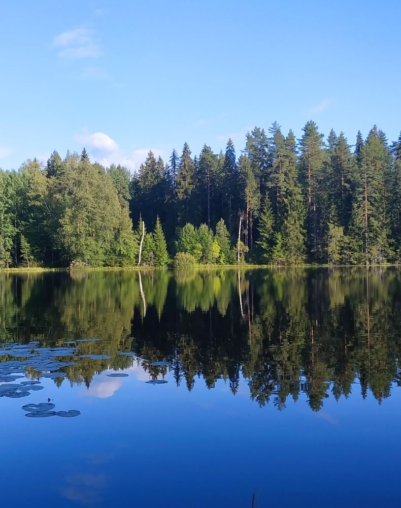 Photograph by Светлана Белозерова