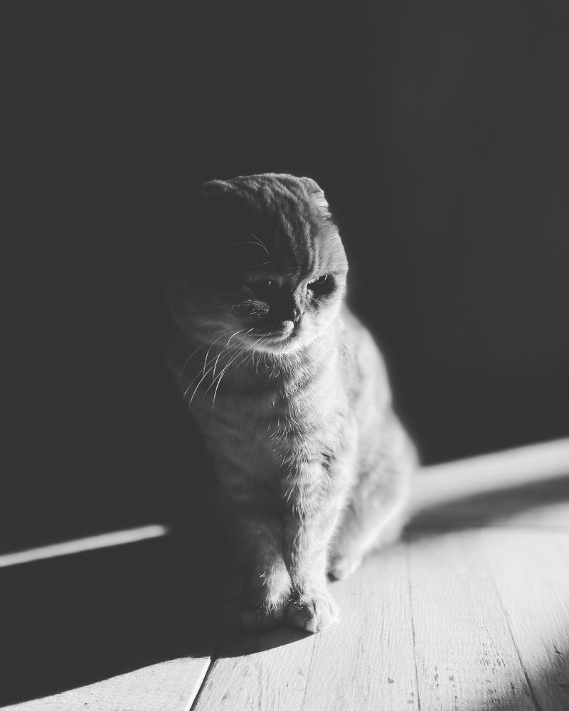 Photograph by Марина Урусова