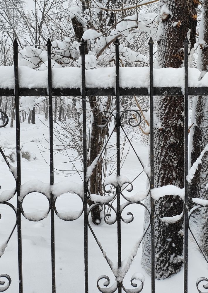 Photograph by Елена Егорова