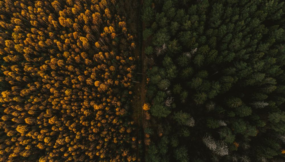 Фотография автора Павел Степанов