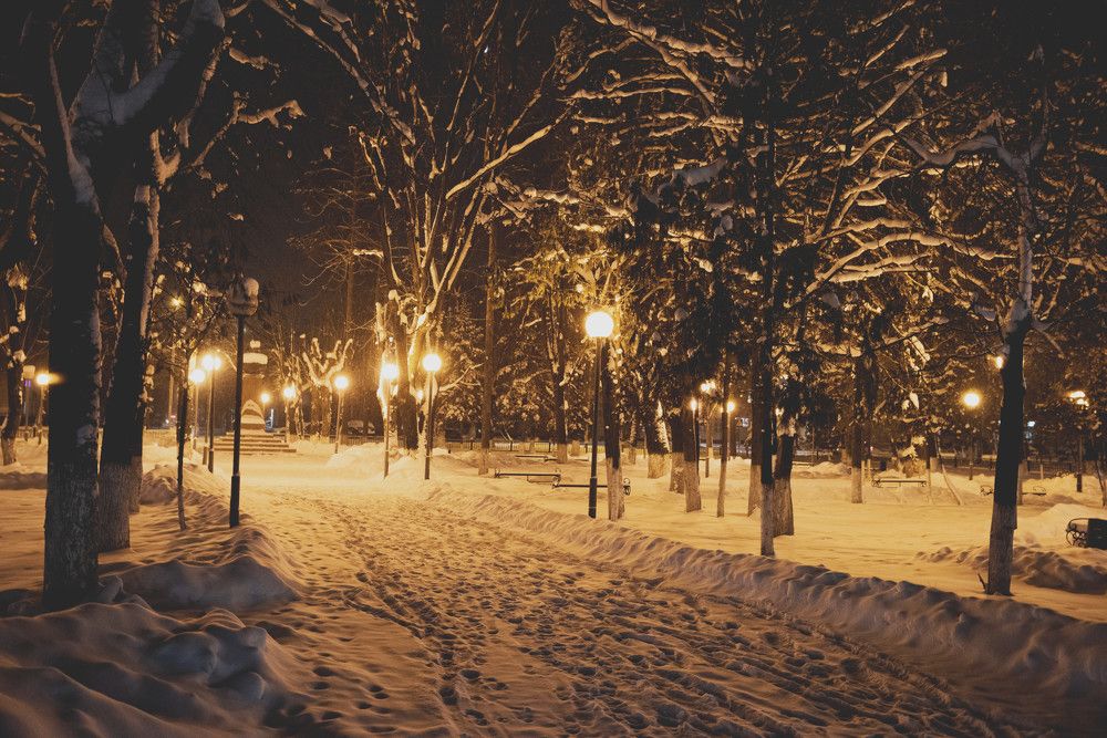 Фотография автора Григорьев Алексей