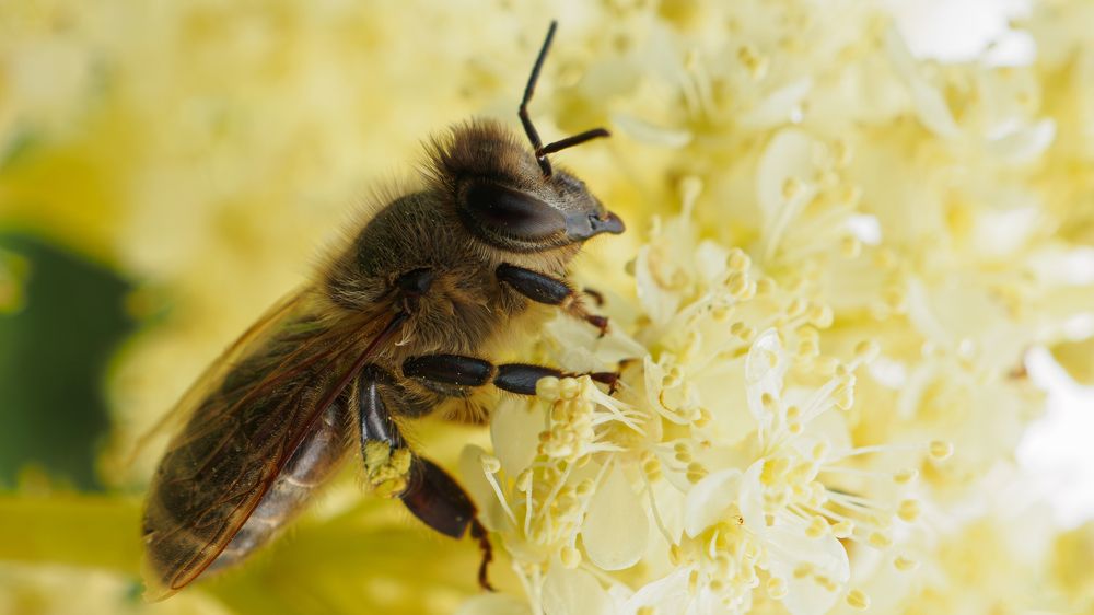 Photograph by Андрей Мичурин