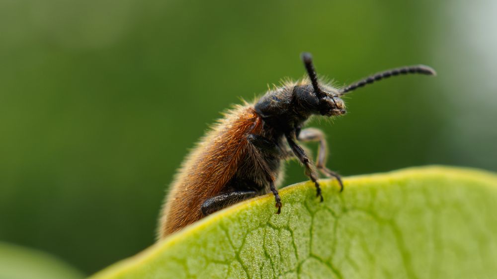 Photograph by Андрей Мичурин