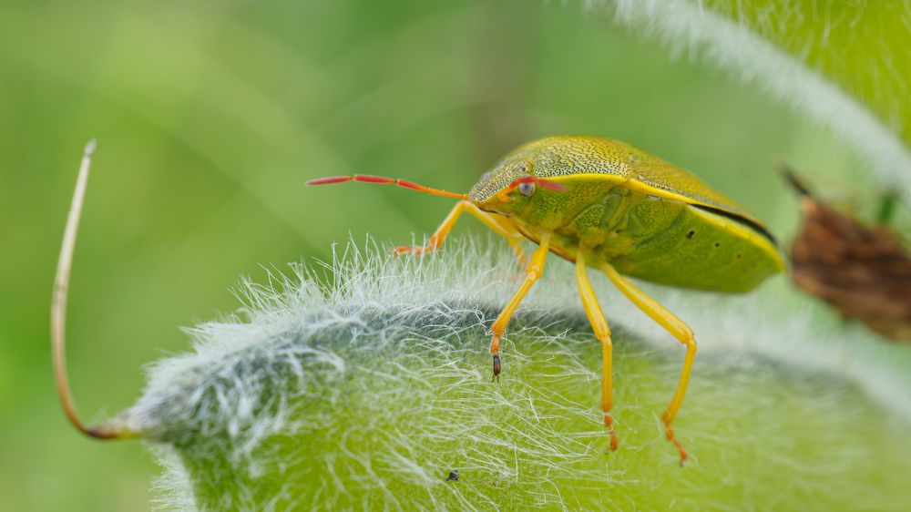Photograph by Андрей Мичурин