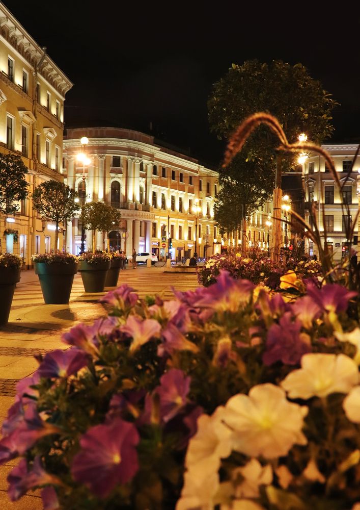 Photograph by Анастасия