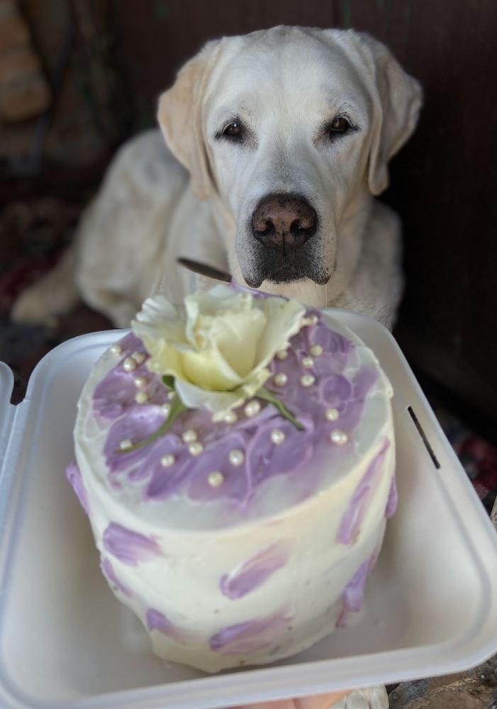 Photograph by Наталья Душакова