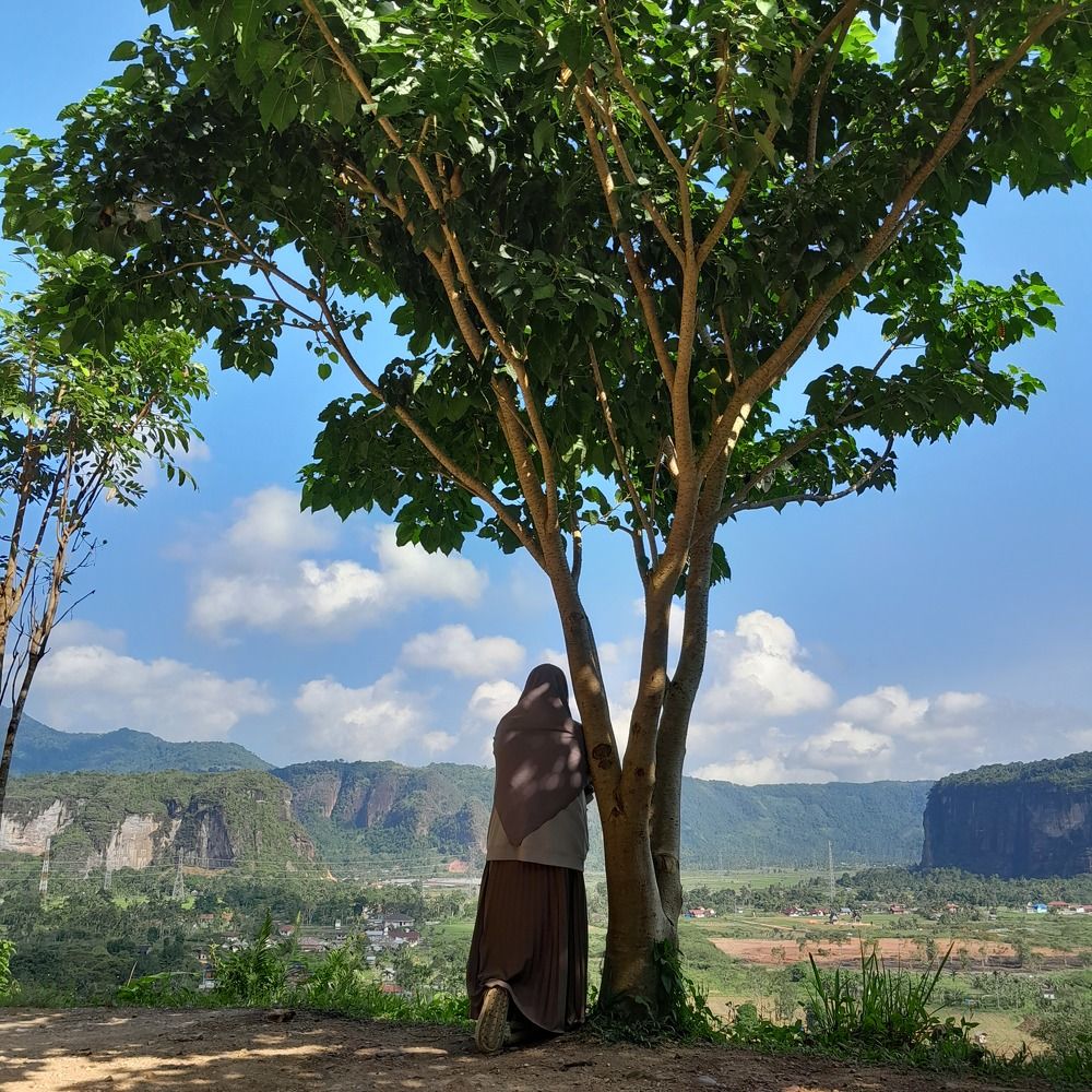 Фотография автора Zulfa