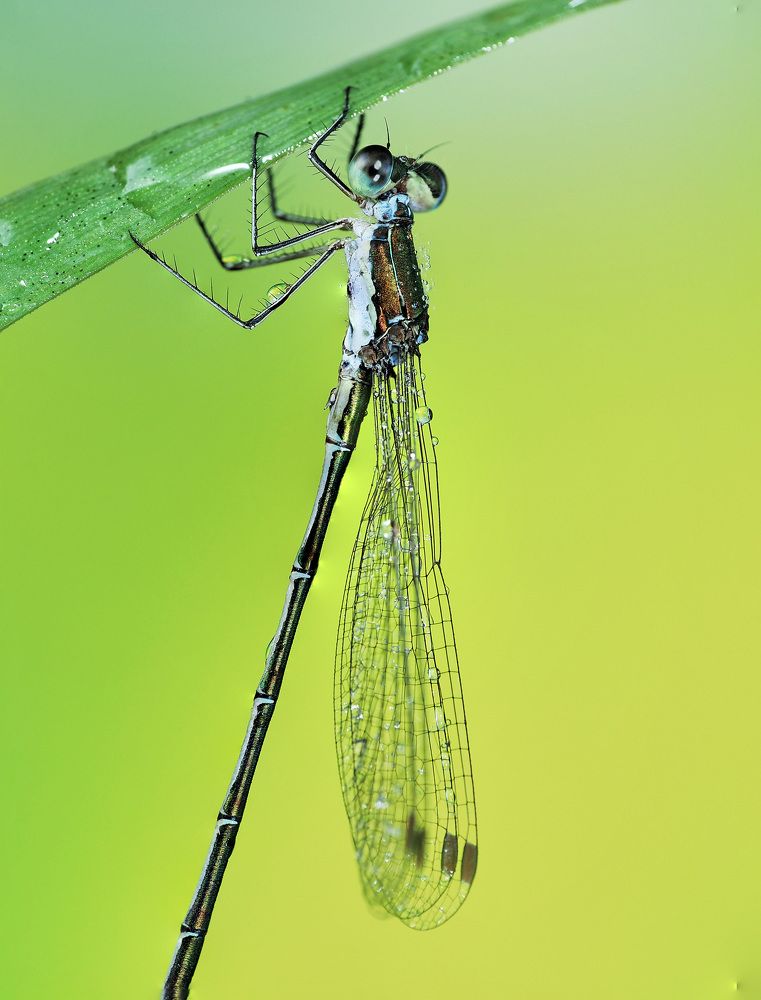 Photograph by Геннадий Сухинин