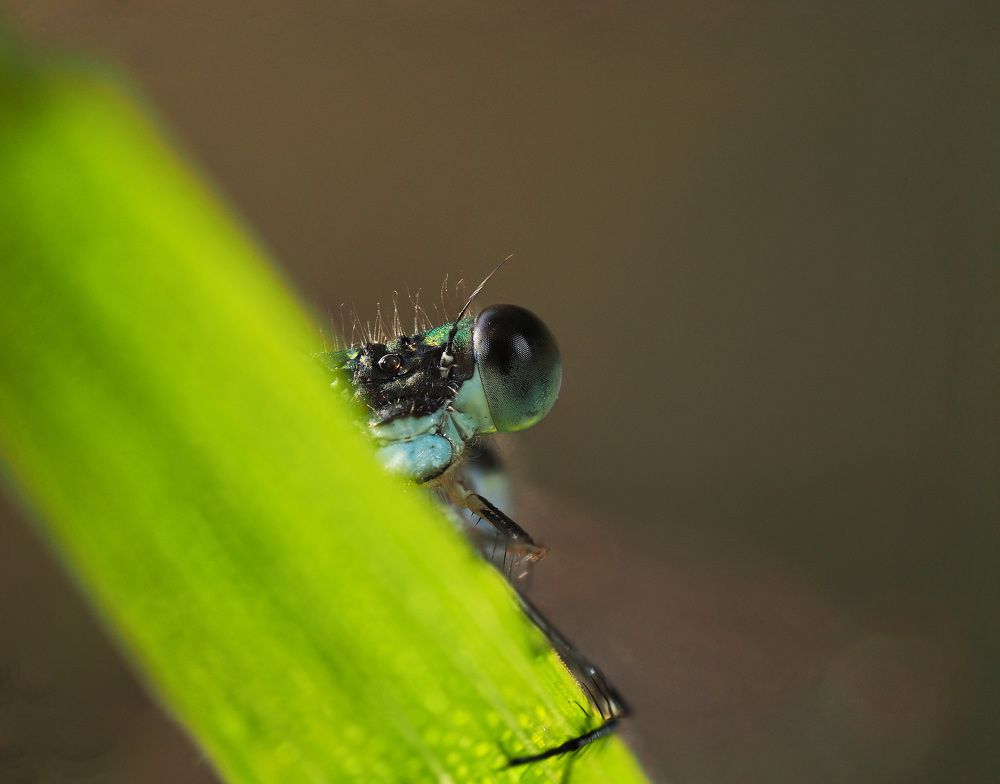 Photograph by Геннадий Сухинин