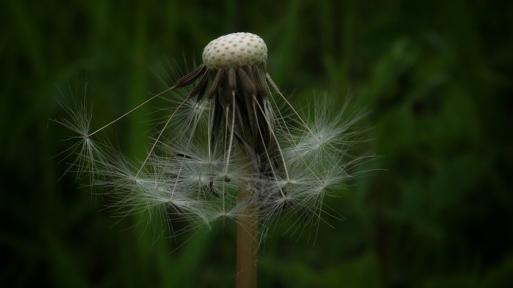 Photograph by Елена Силантьева