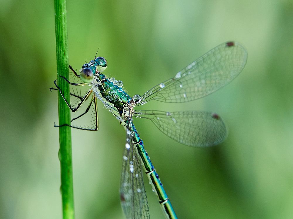 Photograph by Геннадий Сухинин