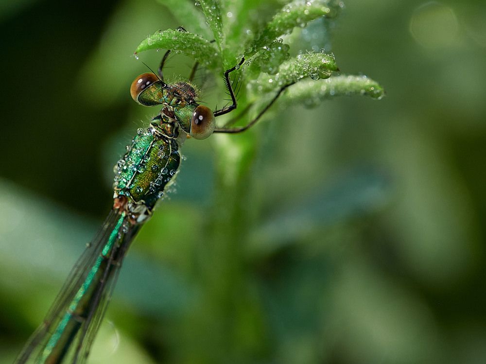 Photograph by Геннадий Сухинин