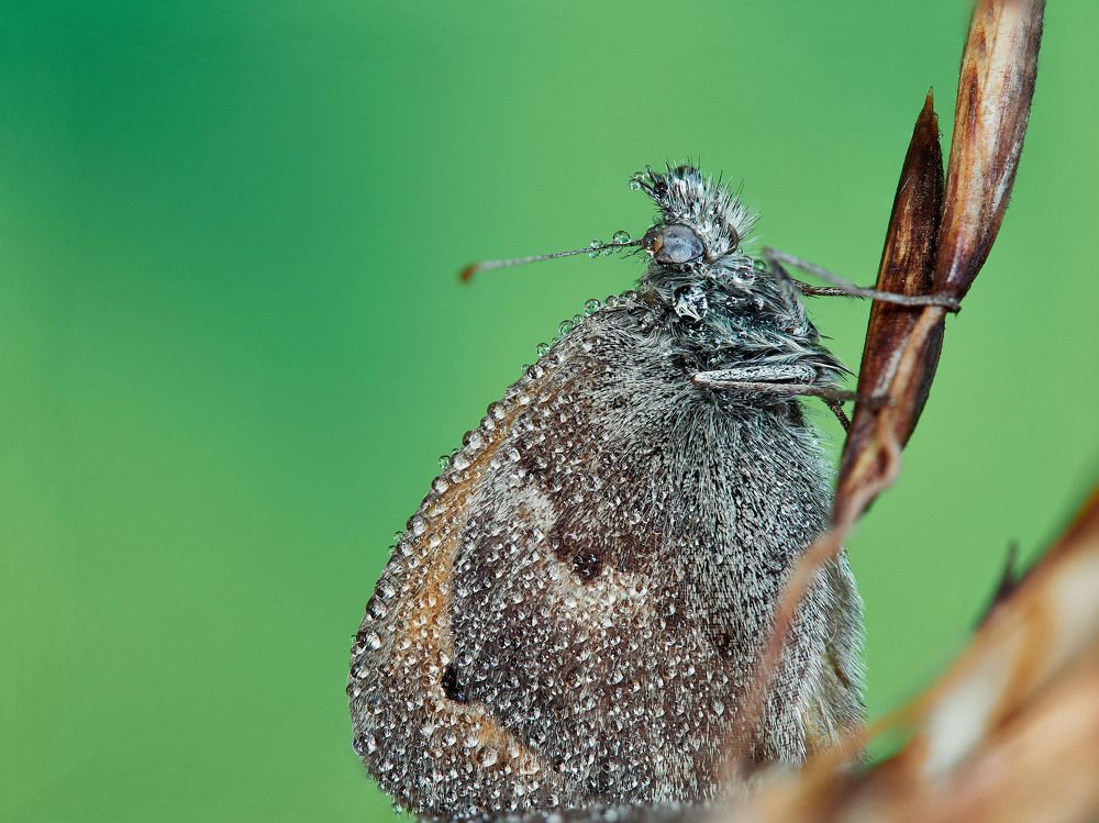 Photograph by Геннадий Сухинин