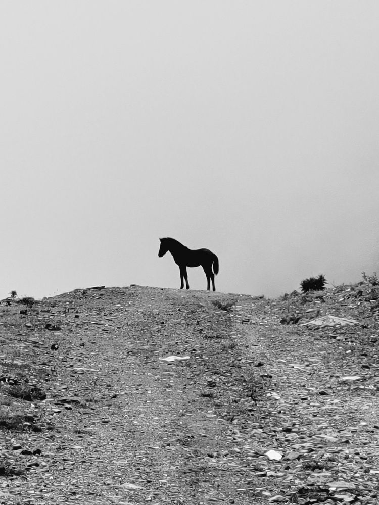 Photograph by Максим Сундеев