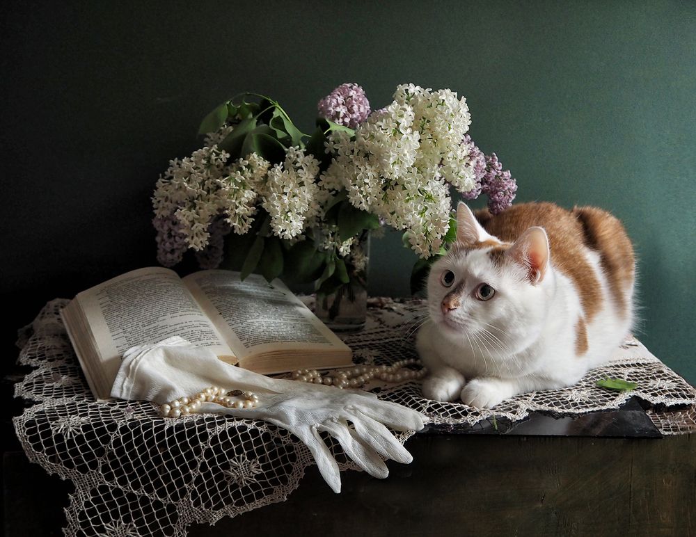 Photograph by Vera Eremeeva