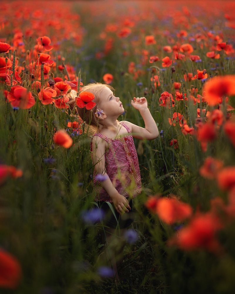 Photograph by Julija Novikova