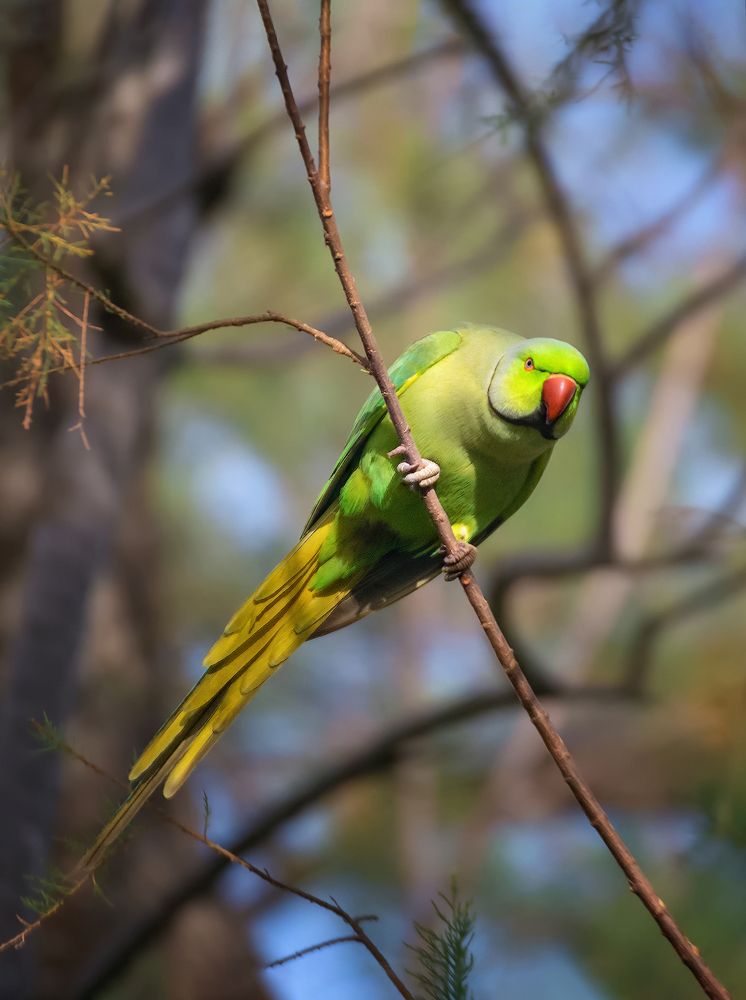 Photograph by Марина Ческис