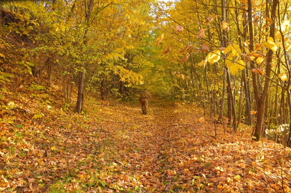 Photograph by Василий Быстрицкий