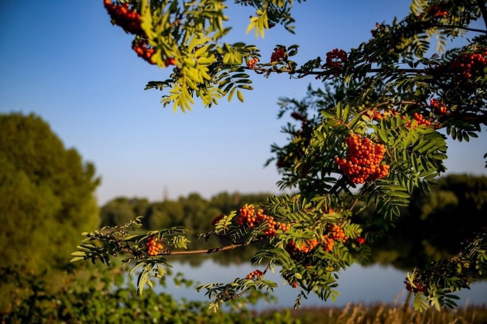 Photograph by Евгений Никонов