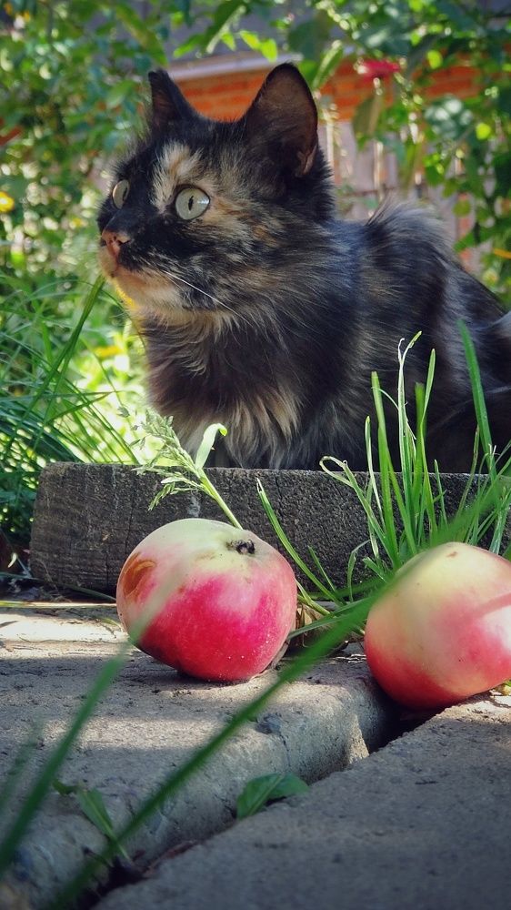 Photograph by Елена Силантьева