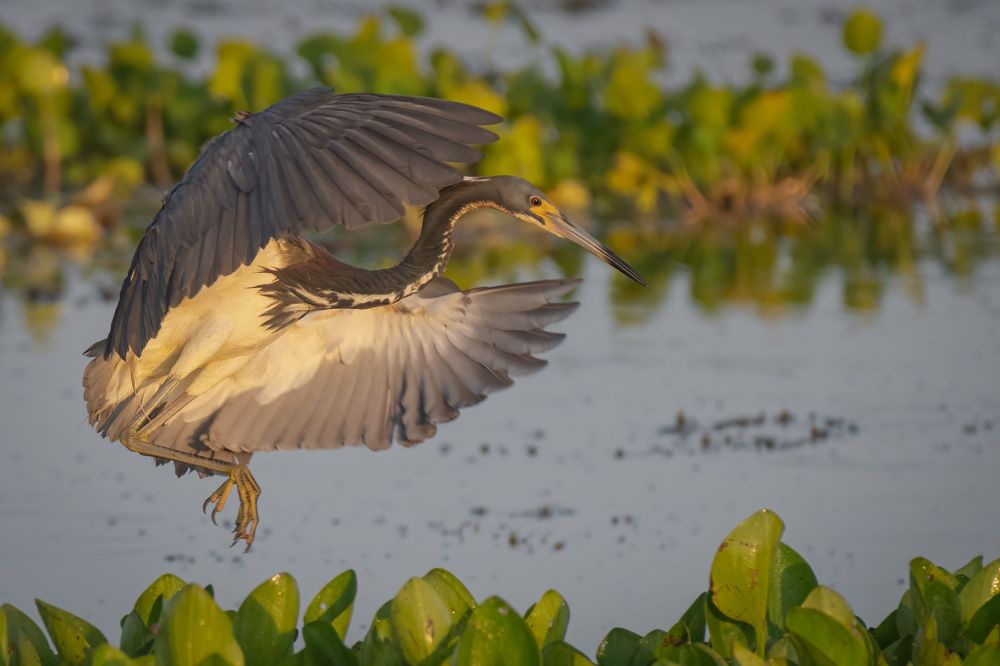 Фотография автора Erik Nelson