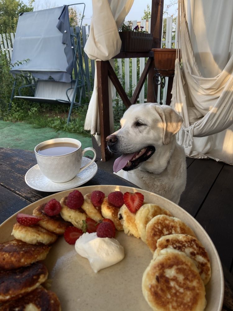 Photograph by Наталья Душакова