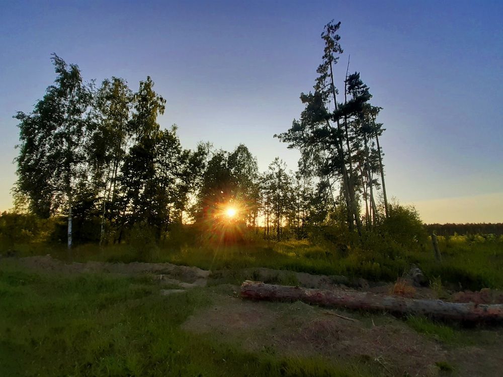 В закатных лучах