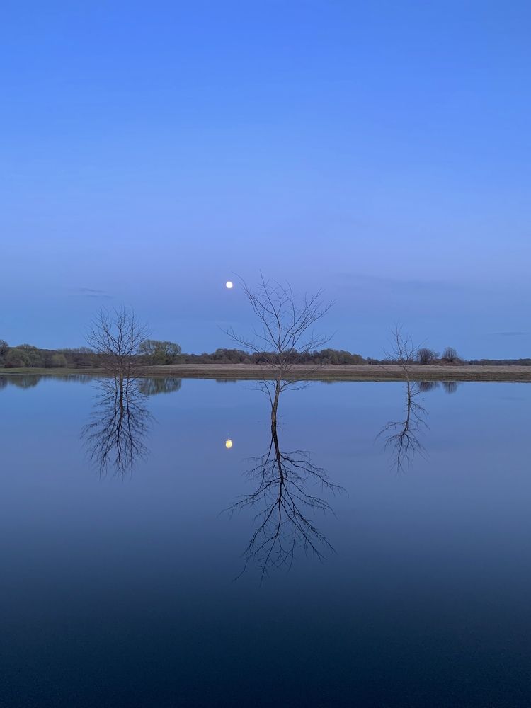 Весенний разлив