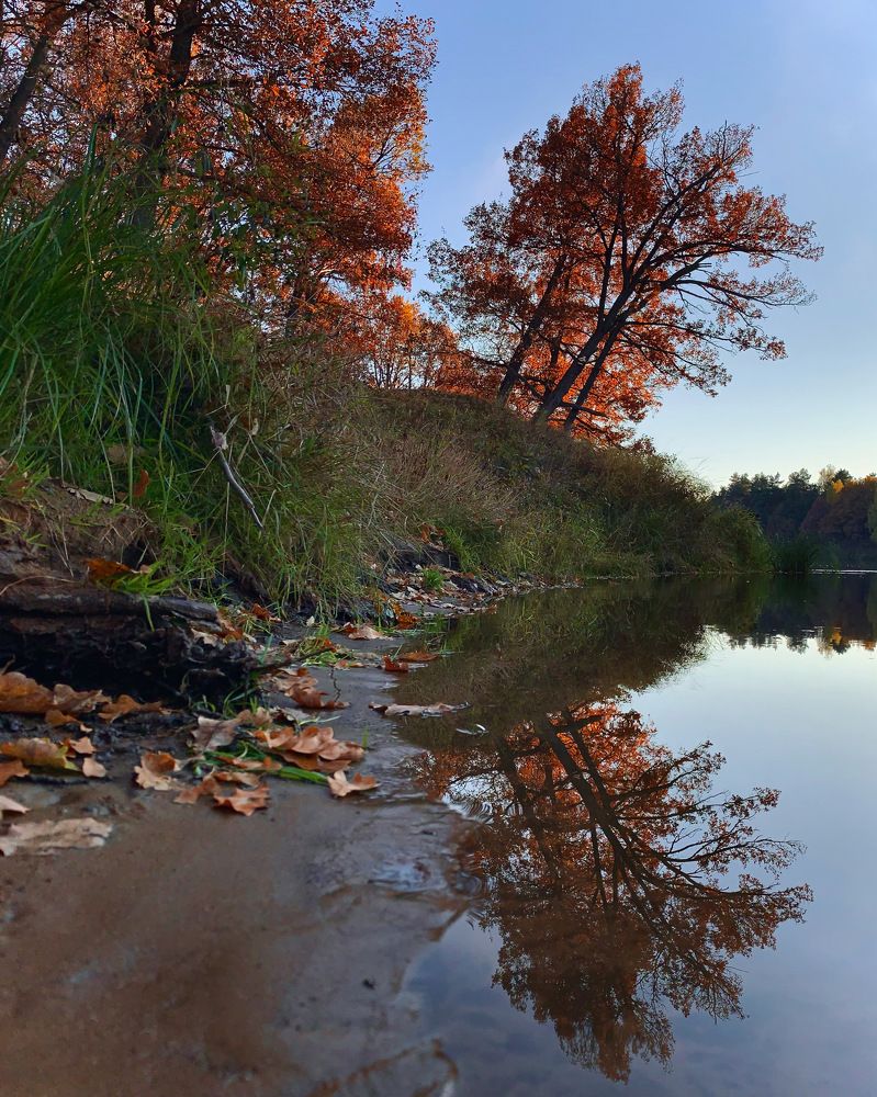 Берег Клязьмы