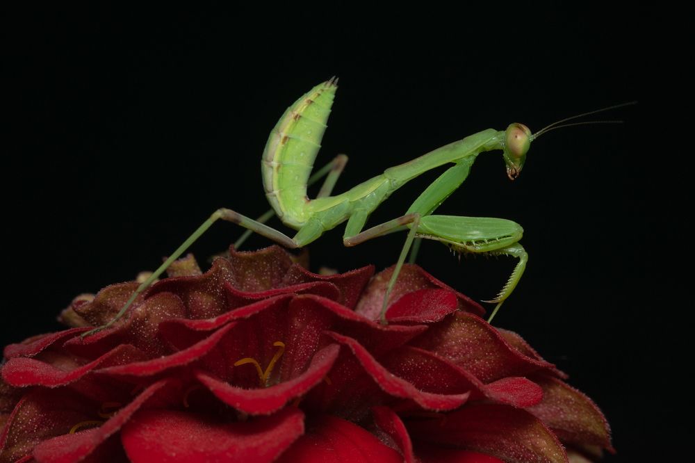 Photograph by Денис Ветренко