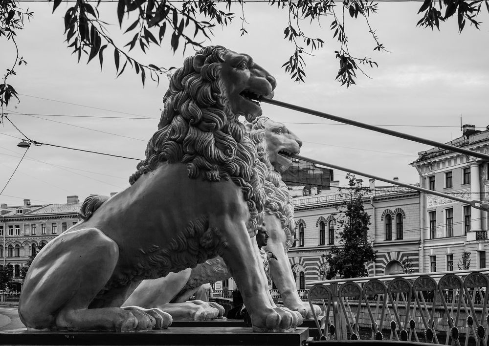 Photograph by Галина Бехметьева