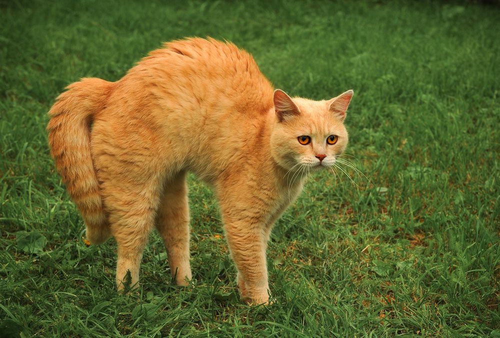 Photograph by Елена Потемина