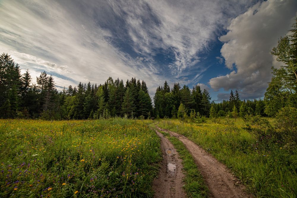 Photograph by Герасимова Елена