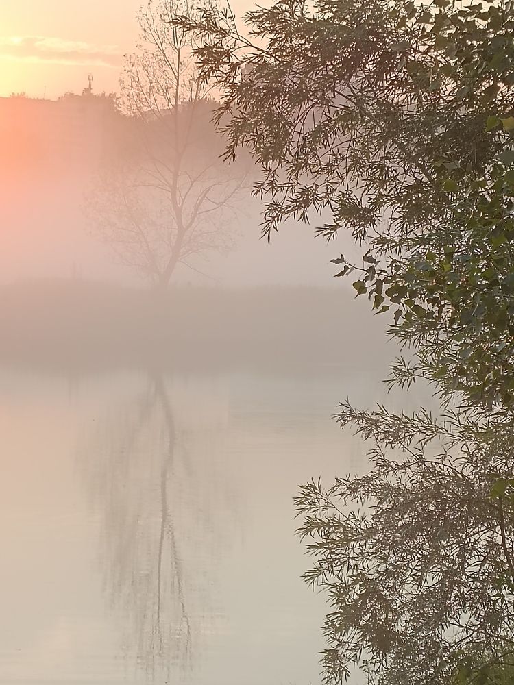 Photograph by Светлана Андреева