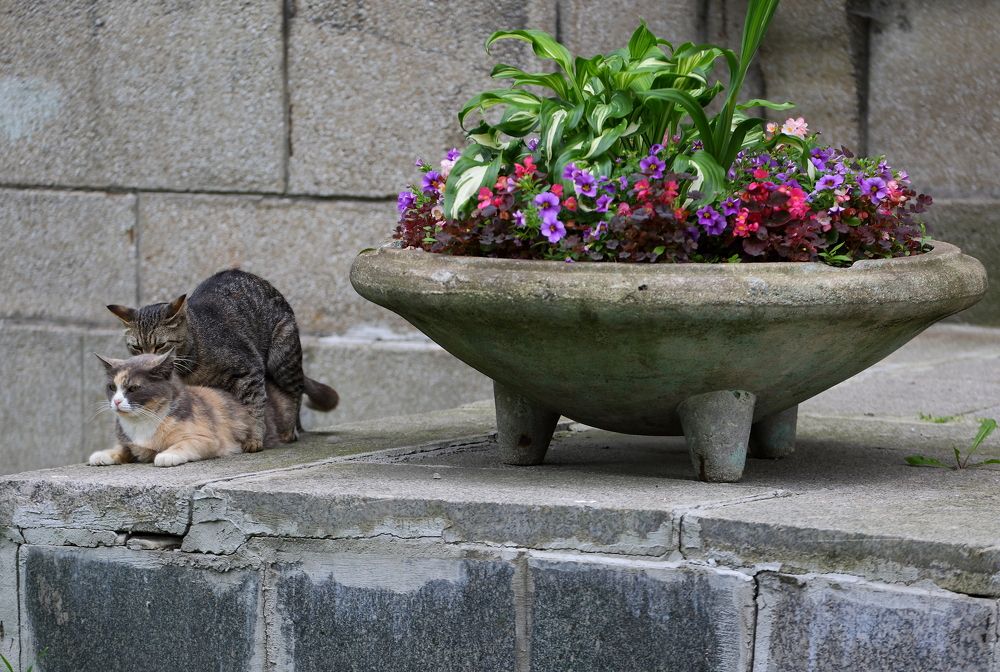 Photograph by Станислав Вершинин