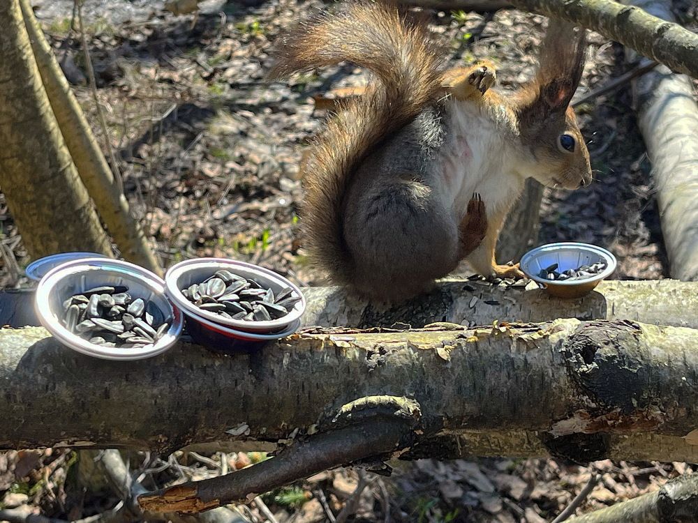 Photograph by Анатолий Протасов