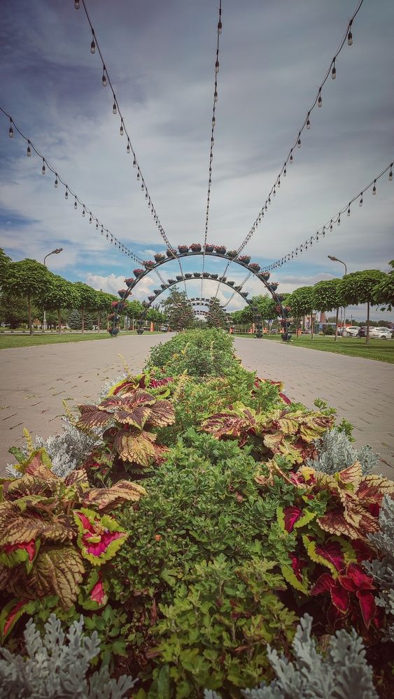 Фотография автора Анастасия Мамаева