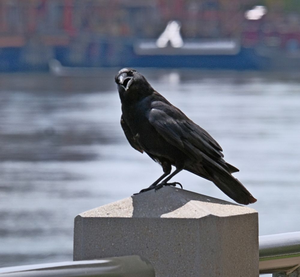 Photograph by Norayr Khazhakyan